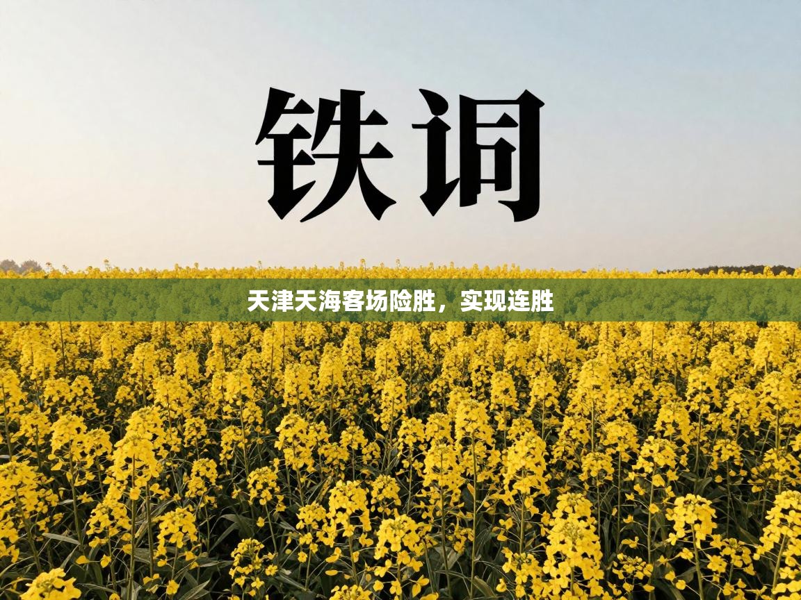 天津天海客场险胜，实现连胜